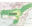 Jobs in Assam
