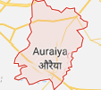 Jobs in Auraiya