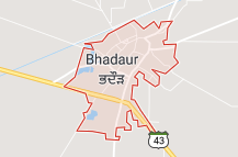Jobs in Bhadaur