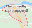 Jobs in Cheruthuruthy