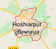 Jobs in Hoshiar Pur