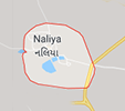 Jobs in Naliya