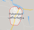 Jobs in Puliangudi