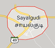 Jobs in Sayalgudi